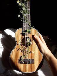 Floral shop and decor ad with leaves. Ok It Looks Cool Ukulele Aesthetic Grunge Softgrunge Flowers Ukulele Art Ukulele Design Ukulele Songs
