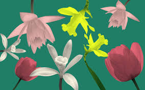 Send flowers right from our online catalog to make sure you send the right. Why No Reason Necessary Flowers Are Blooming In Lockdown
