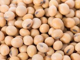 Soya Beans Nutrition Facts - Eat This Much