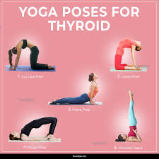 Hatha yoga offers several poses to stimulate the thyroid gland & treat hypothyroidism and get rid of thyroid problems in women and men effectively. Pin On Yoga