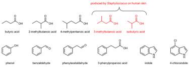 They were in a playful mood which was so nice. Animals Free Full Text Volatile Cues Influence Host Choice In Arthropod Pests Html