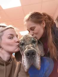 Clinique vétérinaire...