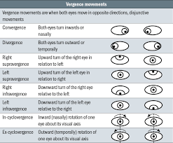 Image result for Extraocular Movement