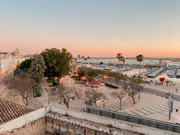 Image result for Faroa duvigneaud