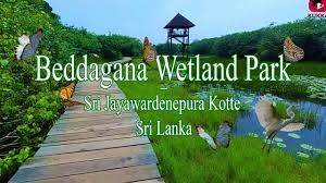 Each employee will focus on their dedication to all guests and maintain the highest level of honesty and courtesy. Beddegana Wetland Park Sri Jayawardenepura Destimap Destinations On Map