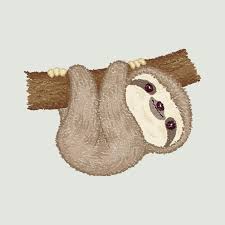 Sloth On The Tree Art Print By Toru Sanogawa X Small Sloth Art Sloth Drawing Cute Animal Drawings Kawaii
