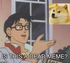 The best memes from instagram, facebook, vine, and twitter about doge dead. Sorry To Break It To You Doge But You Re A Dead Meme Imgflip