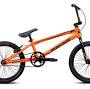 Orange mongoose for sale from www.mongoose.com