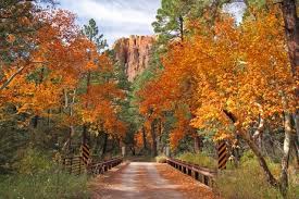 Falling Hard Where To See Fall Colors In Arizona Arizona Falls Prescott Arizona American Travel