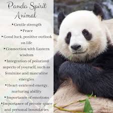 Tout le monde a un animal totem! Panda Spirit Animal Spirit Animal Totem Spirit Animal Meaning Panda
