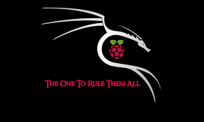 Sun nov 08, 2020 5:46 pm. Re4son Pi Kernel Re4son Kernel