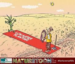 Naturetoons Environment Cartoons Dilmah Conservation Cartoon, daniel levi — on & on feat daniel levi ncs release 03:27. dilmah conservation