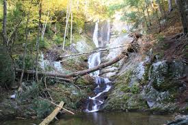 Save mount royal inn to your lists. Tannery Falls Wooded Waterfall In Savoy Mountain Forest