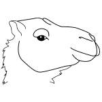How to draw cute buffalo easy step by step. How To Draw A Camel