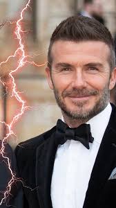 Úkaz přírody. Koťátko se narodilo s dvěma tvářemi