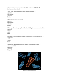 Contoh soal pewarisan sifat kelas 9 dan pembahasannya pilihan ganda soal no. Contoh Soal Dan Pembahasan Pewarisan Sifat Kelas 9 Dapatkan Contoh