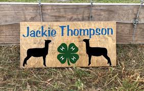Show Lamb Show Sheep Stall Sign Show Ewe Barn Stall Sign Etsy Stall Signs Showing Livestock Barn Signs