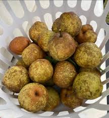 Finally picked some of my pears! Any suggestions? I'm going to use some To  make strawberry Pear Preserves!