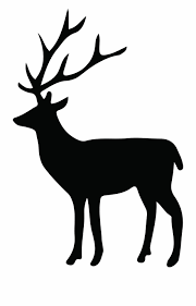 Clipart Freeuse Download Mule Deer Silhouette Transparent Background Deer Clipart Transparent Png Download 46598 Vippng Animal deer fauna forest hoofed horned isolated mammal one png. clipart freeuse download mule deer