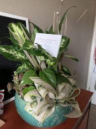 Check spelling or type a new query. Casey S Garden Shop 1505 N Main St Bloomington Il Garden Centers Mapquest