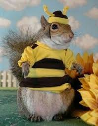 Dear Lord If You Happen To Read My Pinterest Page Please Help Me Not Beat My Smart Mouthed Teenage Son Becaus Squirrel Funny Cute Squirrel Squirrel Pictures