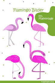 Malvorlage Flamingo Kopf Coloring And Malvorlagan