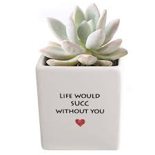 Maybe you would like to learn more about one of these? 25 Great Birthday Gift Ideas For Her Best Birthday Gifts For Women 2021