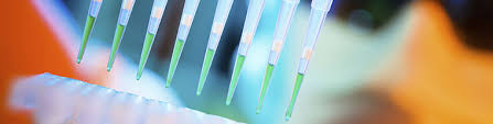 The pharmaceutical industry is one of the most demanding and restrictive. Intertek Pharmaceutical Services