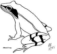 Keep your kids busy doing something fun and creative by printing out free coloring pages. Environmental Coloring Sheets Minnesota Pollution Control Agency