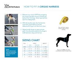 cirque harness pet harness