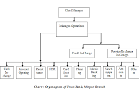 An Internship Report On Customer Satisfaction Of Trust Bank