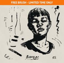 Kyle S Bamboo Stick Brush For Photoshop Photoshop Brushes Photoshop Photoshop Brushes Free