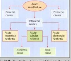 Chronic renal failure progresses slowly over at least three months and can lead to permanent renal failure. 45 Nursing Kidney Disease Renal Failure Ideas Renal Failure Kidney Disease Renal