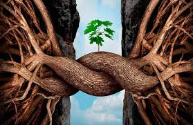¿estás listo para conocer las mejores frases de resiliencia? 10 Grandes Frases De Resiliencia Emprendedores News
