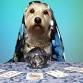 Psychic supper with Toni Johno and psychic artist event image