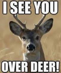 Pin By Mantripping On Hunting Jokes And Memes Funny Deer Hunting Jokes Deer Hunting Humor