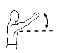 Image result for Shoulder Range of Motion Exercises