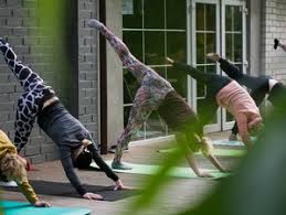 I frequently observe new yoga teachers (and even veteran teaches) who have only completed a 200 hour tt make fundamental mistakes in alignment and sequencing that put students at in standard yoga teacher training, the trainer tracks the trainee's progression at every step, and signs it off. Top 10 Yoga Teacher Training In The Usa