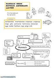 Mammals Birds Reptiles Amphibians And Fish Interactive Worksheet Amphibians Reptiles Mammals