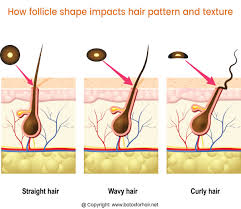 It's time you embrace those curls, friend: Hair Is Dead So How Do You Get Your Natural Curls Back After Heat Damage