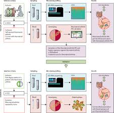 Early carpal tunnel symptoms come and go and can often go unoticed. Associations Between Gut Microbiota And Genetic Risk For Rheumatoid Arthritis In The Absence Of Disease A Cross Sectional Study The Lancet Rheumatology