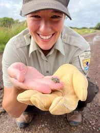Festival of the Cranes Returns!