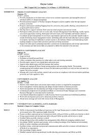 conversion analyst resume samples
