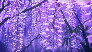 Flower Flowers Wallpaper Background Art Drawing Nice Epic Purple Beautiful Anime Anime Flower Anime Scenery Aesthetic Anime