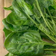 Image result for Spinacia