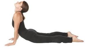 This exercise is also great for mobility of the spine and activation of key spinal stabilizing muscles. The Best Exercises To Complement Bikram Yoga Herniated Disc Physical Therapy Exercises Abdominal Adhesions