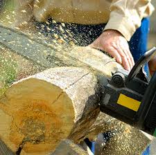 Parmi les installations de chauffage les plus économiques, il faut citer le chauffage au bois. Vente Bois De Chauffage 77 91 78 28 45 Bois Chauffage Idf