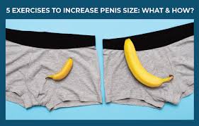 Erectile dysfunction and premature ejaculation. 5 Exercises To Increase Penis Size Medlife Blog Health And Wellness Tips