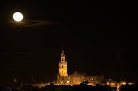 Nuestra selección de escorts en sevilla se diferencia por su implicación sobresaliente, centrándonos completamente en ti. Sevilla De Noche Sevilla Foto