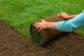 Ares (a) square centimetres (cm²) square decimetres (dm²) square feet (ft²) hectares (ha) square inches (in²) square kilometres (km²) square millimetres (mm²) square metres (m²) square nanometres (nm²) square yards (yd²) square micrometres (µm²). Harmony Sod Slabs 500 Sq Feet Growing Grass Lawn Turf Grass Carpet